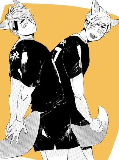 Atsumu and Osamu || Fox Demi-humans