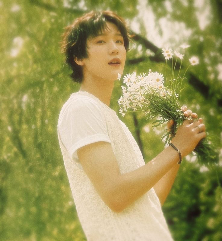Soul P1harmony | Haku Shota