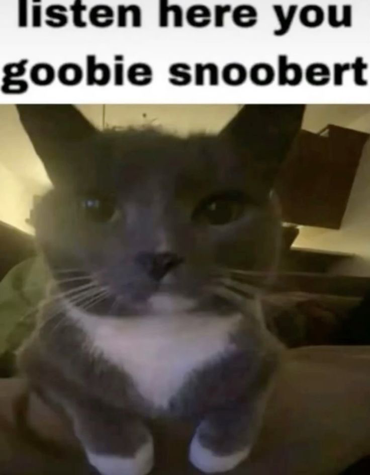 CHAT LISTEN