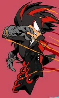 ¤《Shadow The Hedgehog》¤