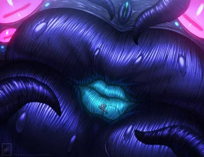 Lip Dimension