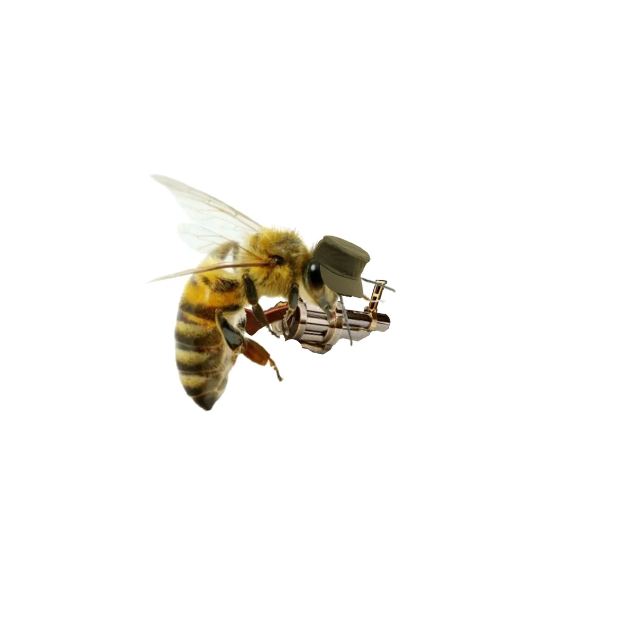 ¡Look, a bee with a grenade launcher! - day 2