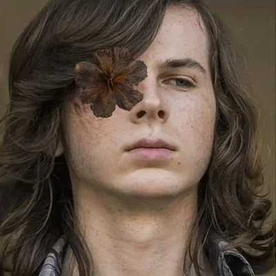 Carl Grimes 