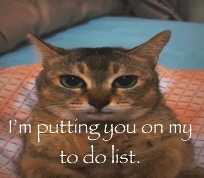Whar do i do 