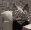 Chad