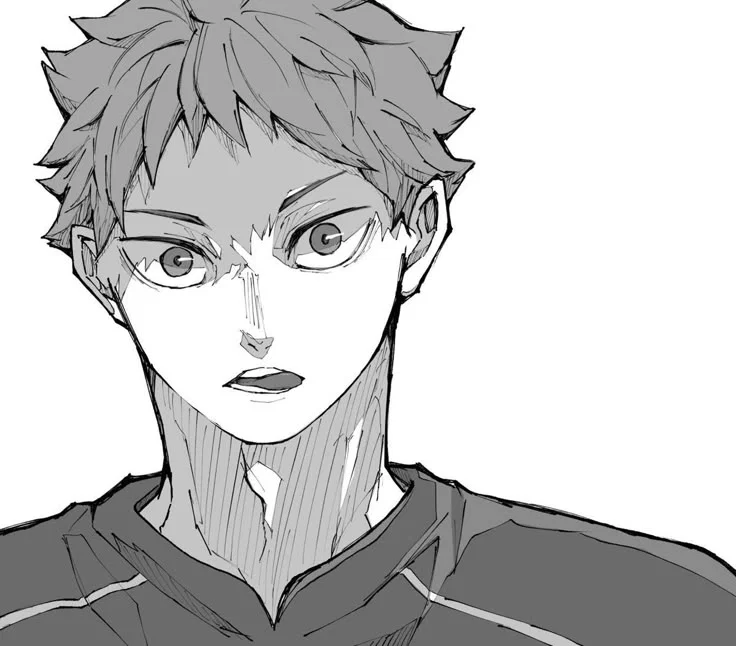 Hinata Shoyo | Haikyuu ALT