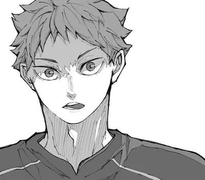 Hinata Shoyo | Haikyuu ALT