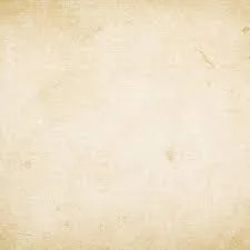 Apology