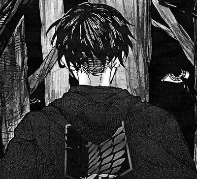 Levi Ackerman 