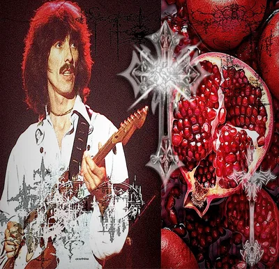 George Harrison 