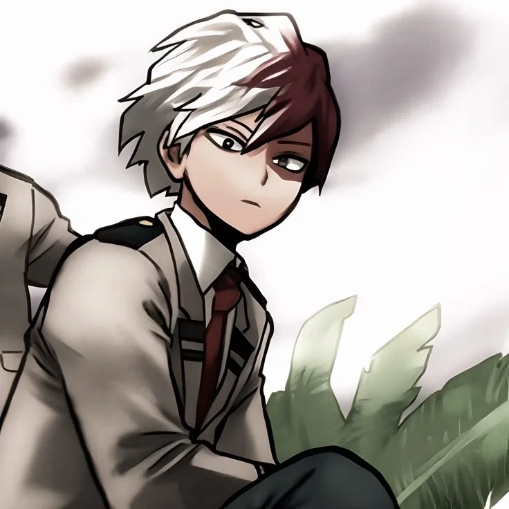 Shoto Todoroki 
