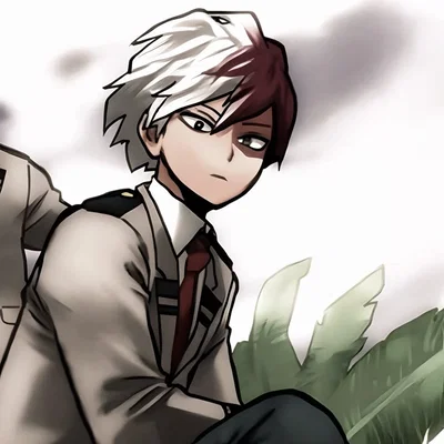 Shoto Todoroki 