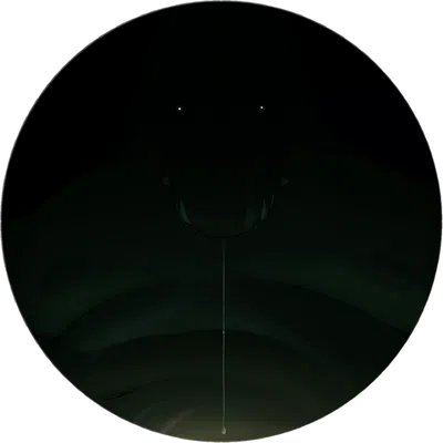 A night in the swamp