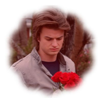 ⋮ ⌗ ┆ steve harrington