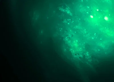 Endless Slime (Comfort Alt)