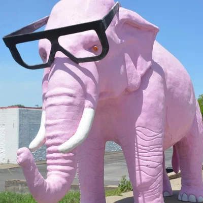 Elephant Toadette