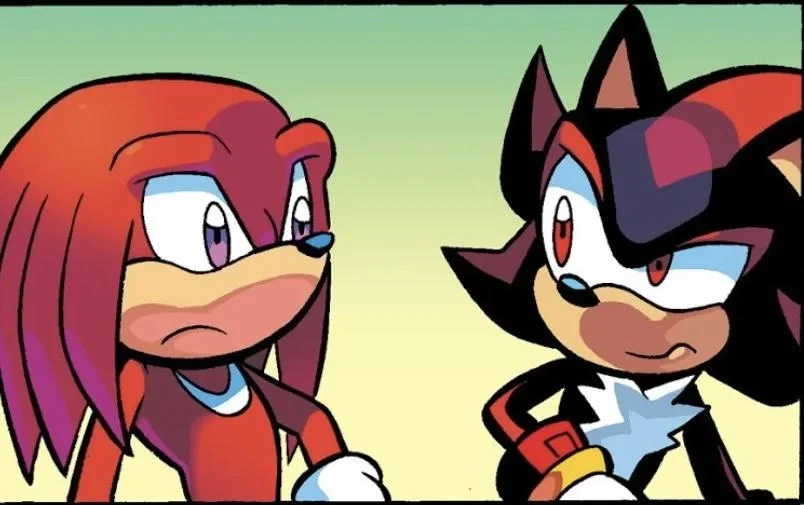 Shadow the Hedgehog and Knuckles the Echidna [STH]