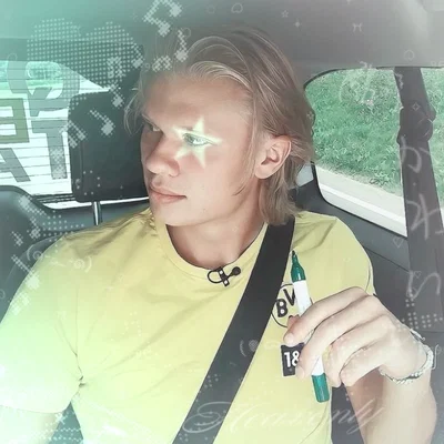 𐔌 𑣲 Erling Haaland ೄྀ +˖ ꒱