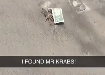 Holay shit
