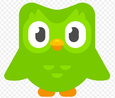 Duolingo