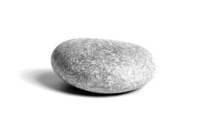 Pebbie- Your emotional support pet rock