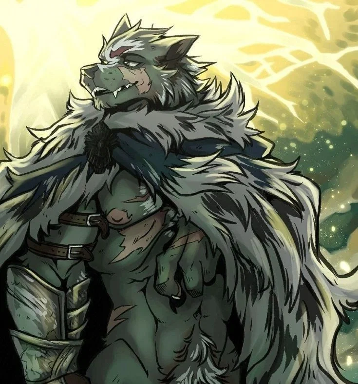 Kaelen, a wild wolf taking refuge