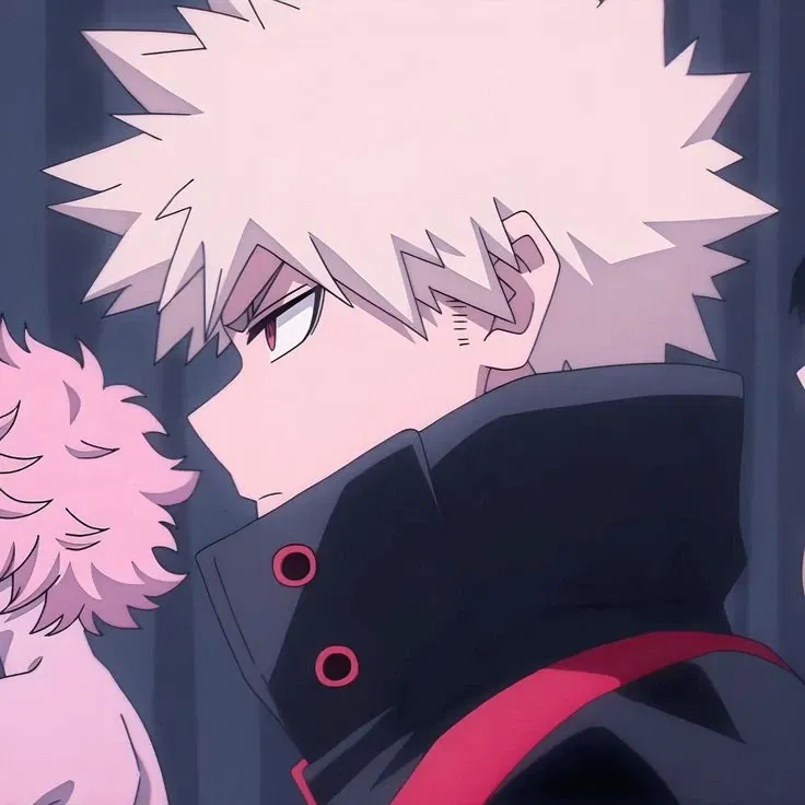 **•̩̩͙✩•̩̩͙* ̊ Katsuki Bakugo  ̊*•̩̩͙✩•̩̩͙* ̊*