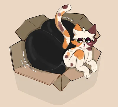  Lucas - what? it's comfortable