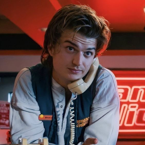 STRANGER THINGS | Steve Harrington