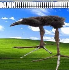 DAMN RPG | 200 FOLLOWER SPECIAL