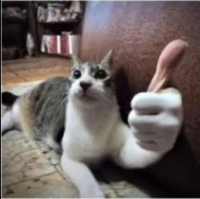Hey :)