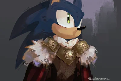 Sonic the hedgehog