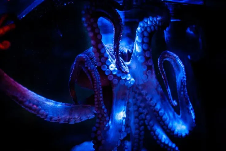 Slime tentacles