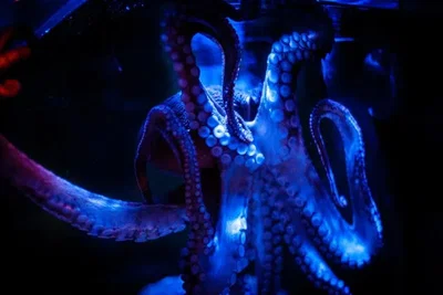Slime tentacles