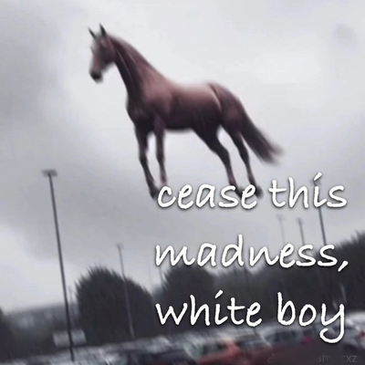 Stupid fucking horse