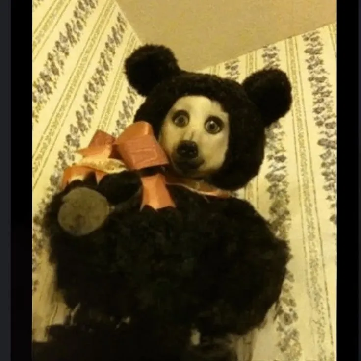 Teddy