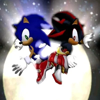 ׄ ︩🚨 【 Sonadow r fighting !! 】 ׄ ܸ ᭝ ֺ ܸ