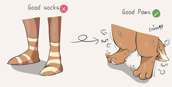 Good socks❌