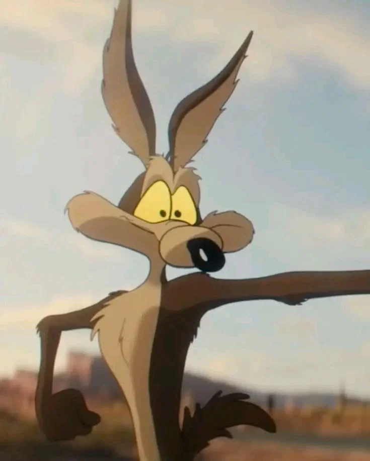 Wile E. Coyote – Looney Tunes/Coyote Vs ACME