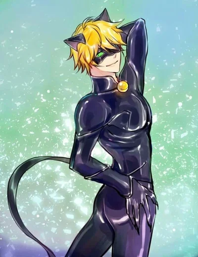 Chat Noir