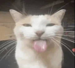 Request Bot