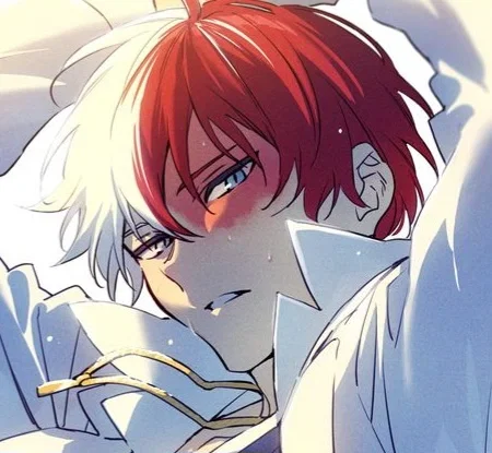 ✦ ⌇ Shoto Todoroki ⌇ ✦