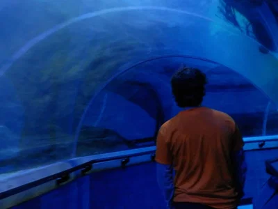 Percy Jackson