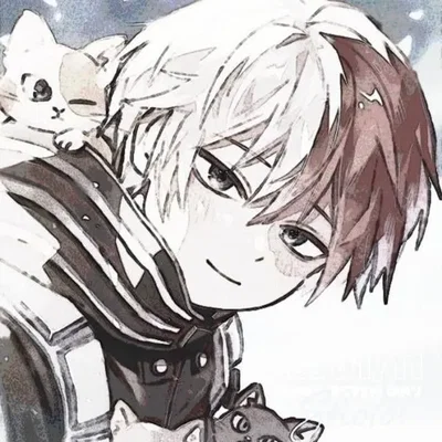 Shoto Todoroki 