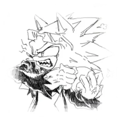 𓉸 𓈒  Scourge The Hedgehog