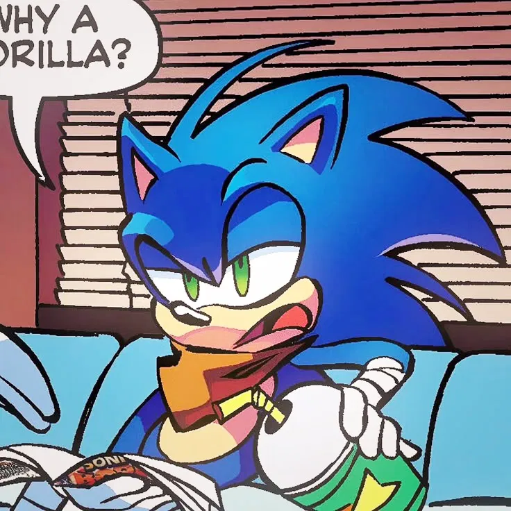 《BOOM》 SONIC THE HEDGEHOG 