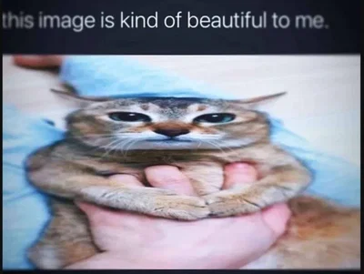 creature