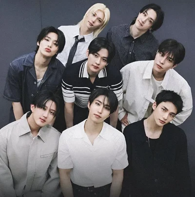 Stray Kids | Omegaverse  