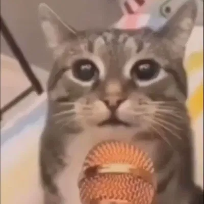 Hi guys!