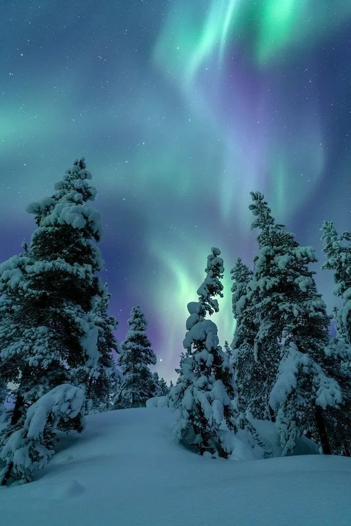 A Christmas themed northern lights adventure